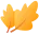 163694171031fdcd.jpg